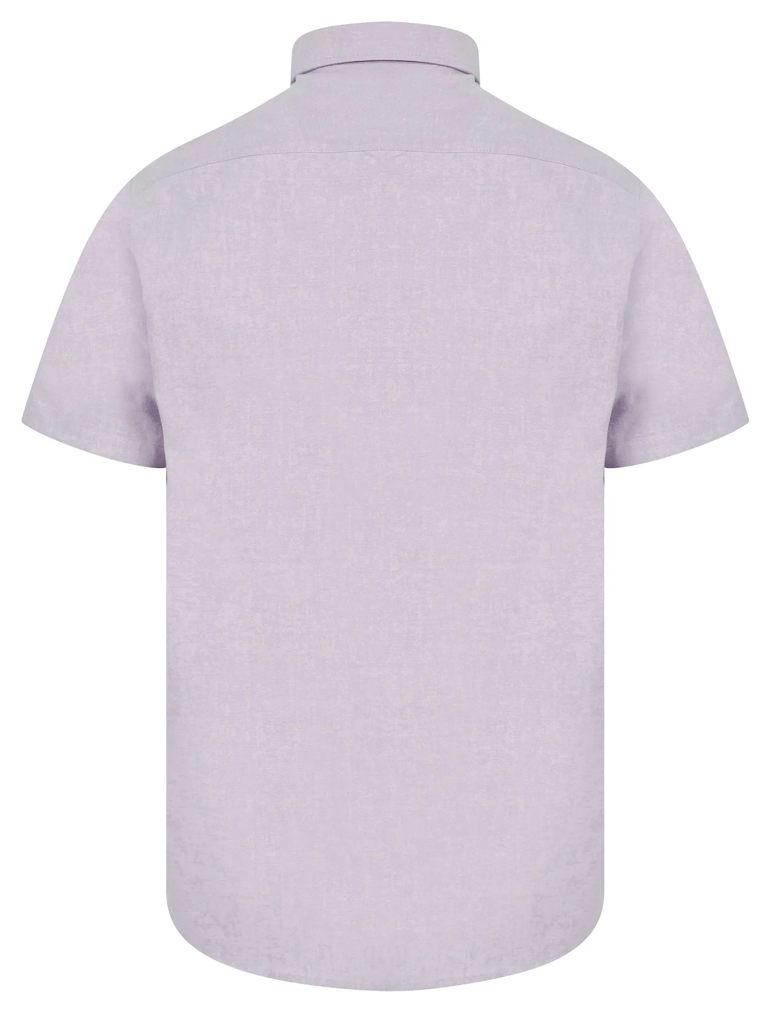 Tiberius Short Sleeve Oxford Cotton Shirt in Lilac  - Tokyo Laundry